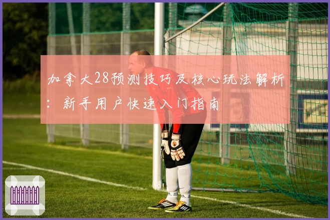 加拿大28预测技巧及核心玩法解析：新手用户快速入门指南