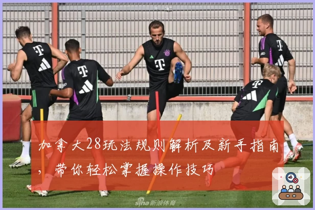 加拿大28玩法规则解析及新手指南，带你轻松掌握操作技巧