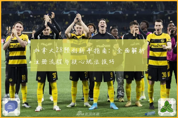 加拿大28预测新手指南:全面解析注册流程与核心玩法技巧