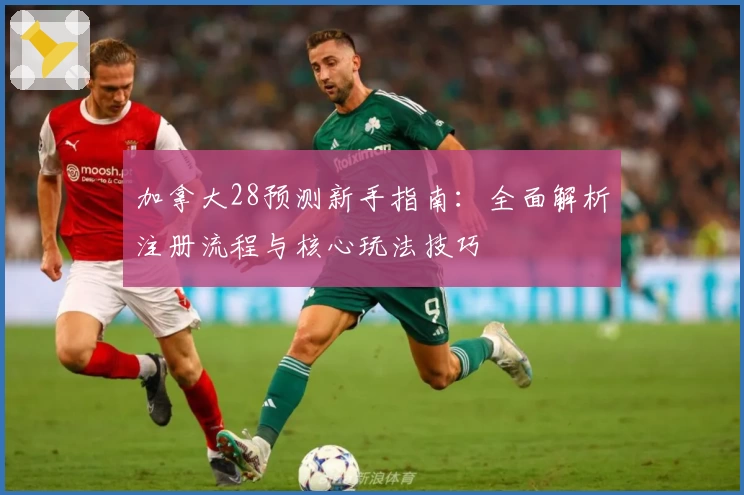 加拿大28预测新手指南：全面解析注册流程与核心玩法技巧