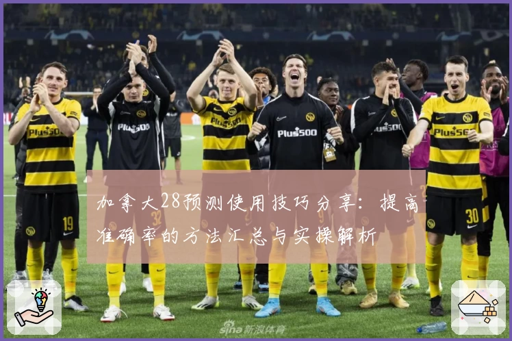 加拿大28预测使用技巧分享：提高准确率的方法汇总与实操解析