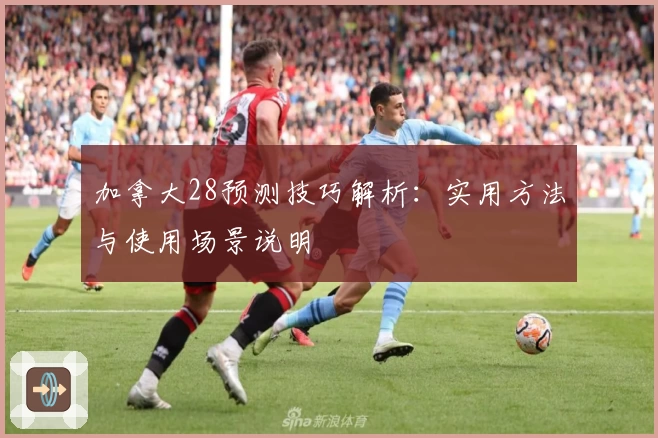 加拿大28预测技巧解析：实用方法与使用场景说明