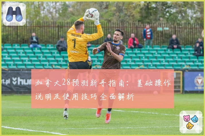 加拿大28预测新手指南：基础操作说明及使用技巧全面解析