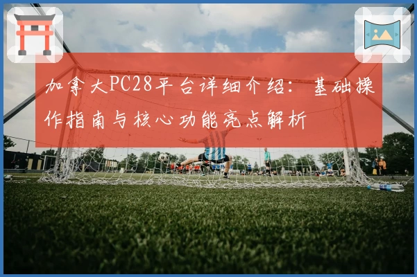 加拿大PC28平台详细介绍：基础操作指南与核心功能亮点解析